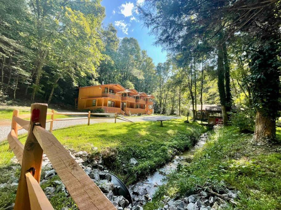 הלן Cute Cabin Creek & Firepit #12 מראה חיצוני תמונה